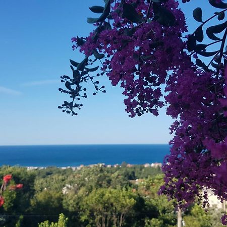 Vila Pogled Petrovac Exterior photo