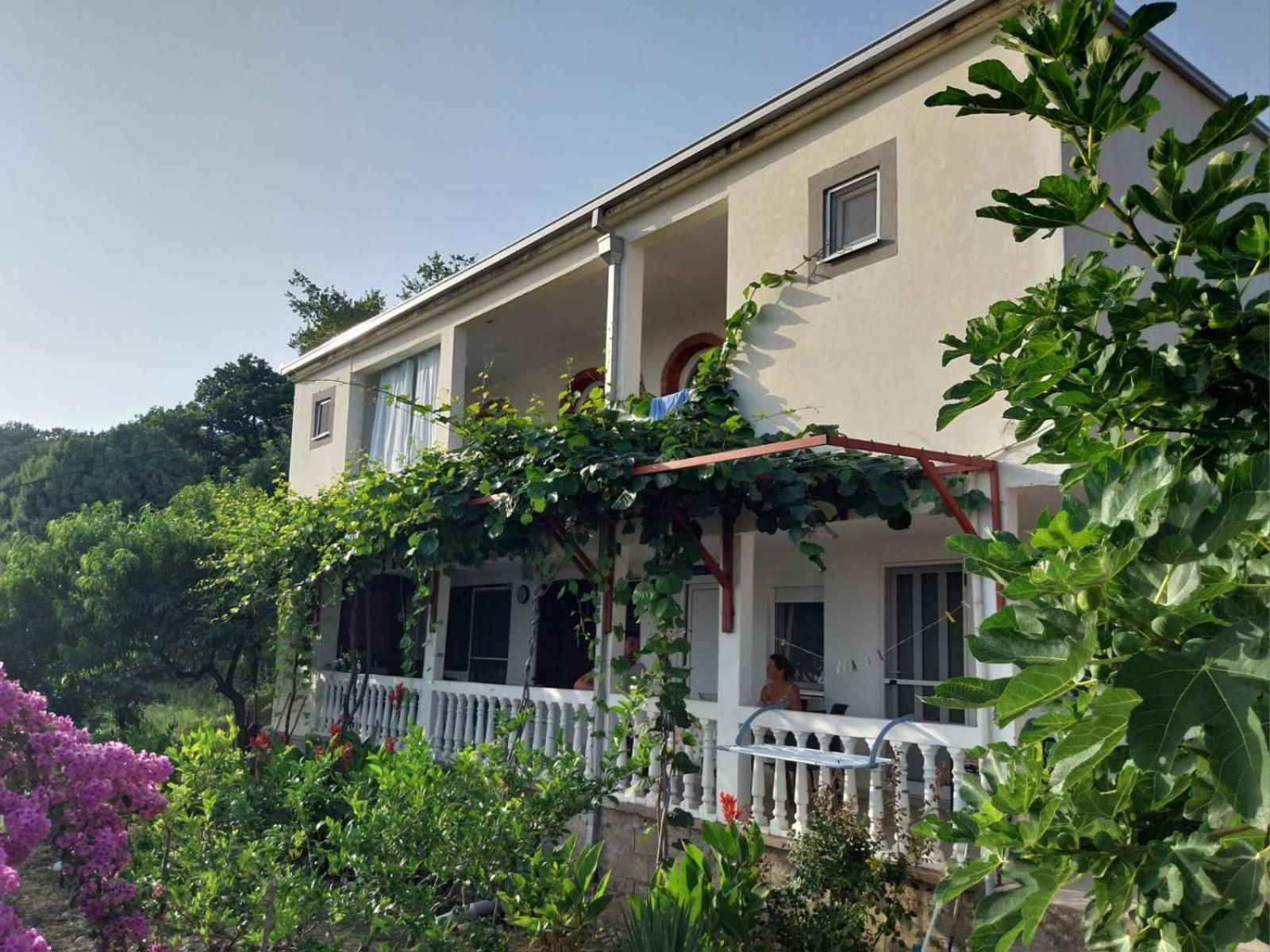 Vila Pogled Petrovac Exterior photo
